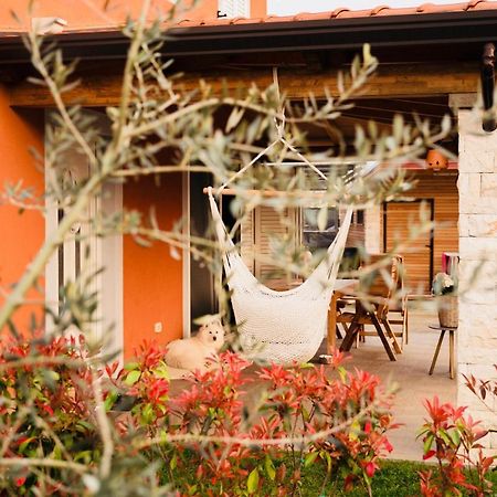 Vila Bianca Umag Exterior foto